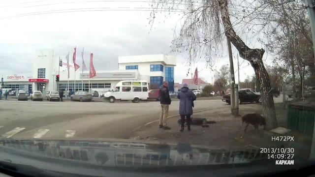 Приключения на дороге: Думал помер, оказалось, что просто прилег отдохнуть...