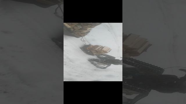 VID_20241130_124749.mp4