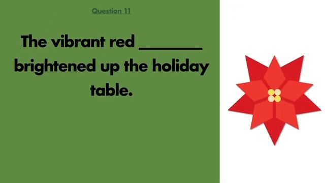 Can You Guess 20 Christmas Words_ English Vocabulary Quiz (360p)