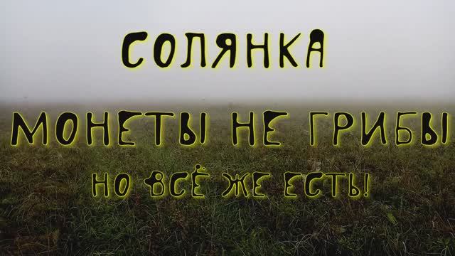 Монеты не грибы