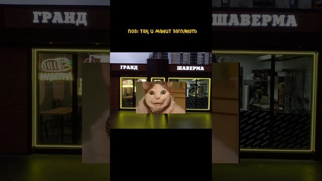 Не пугайтесь и приходите в Гранд Шаверму 😘