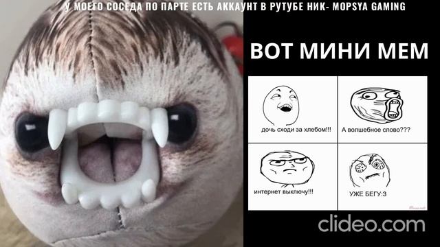 clideo_editor_9deace59349e4448a9f651f9e1cb6bb0