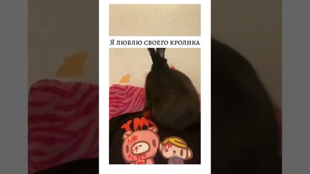 А у кролика одно на уме 🤣🤣🤣🤣🤣