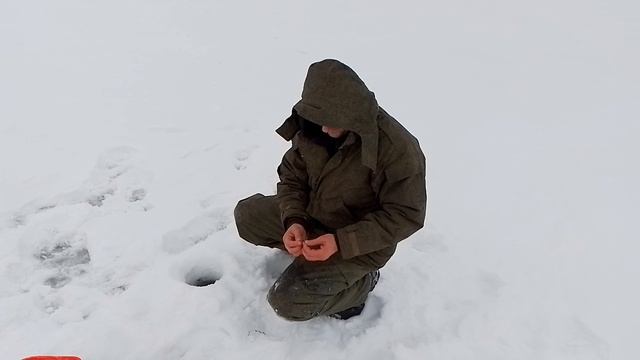 Щука на жерлицы на озере Иргень в ноябре!!!