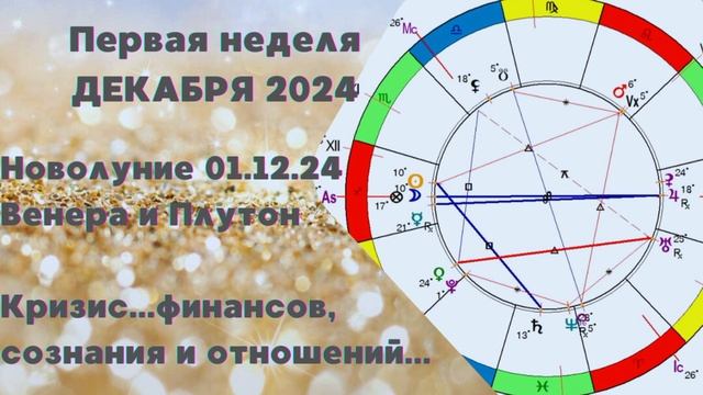 Первая Неделя Декабря 2024