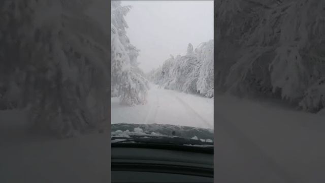 1000029417.mp4