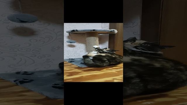 1000007943.mp4