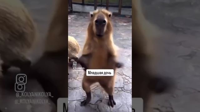 трешь