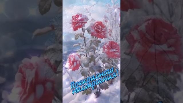 🔴 Доброе утро!!🥰🥰🤗☕🍰🌞 #сдобрымутром #утродоброе #хорошегонастроения #пожелания #всемдобра