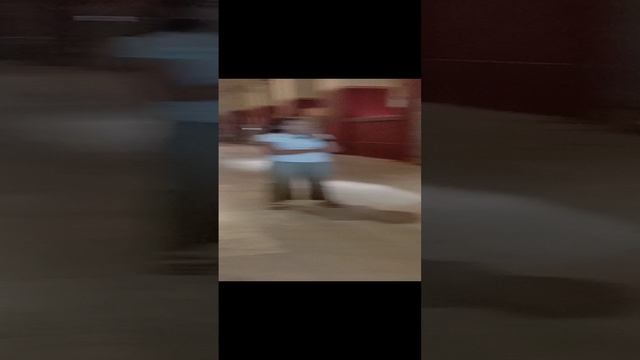 музей каира