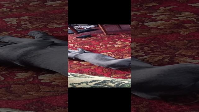 1000005242.mp4