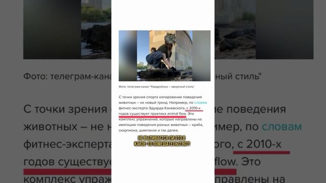 Квадробика – нездоровое помешательство или норма?