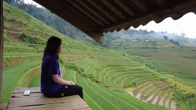 14036525-hd_1920_1080_30fps