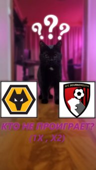 Прогноз на 13 тур Английской Премьер-лиги Вулверхэмптон - Борнмут