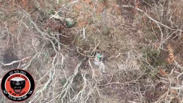 Дроноводы 143 мотострелкового полка 127 дивизии размотали хлопчиков на Времевском направлении.