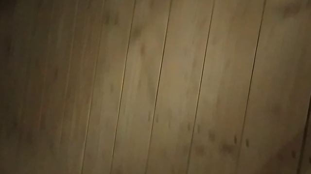 VID_20241130_223706.mp4
