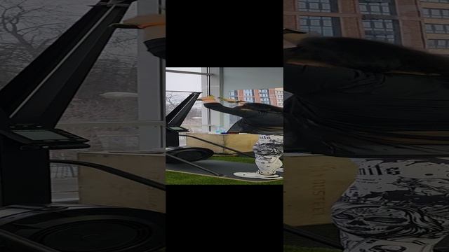 1000646621.mp4