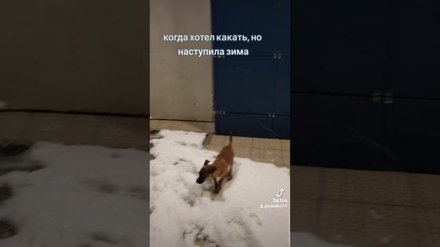 холодно однако