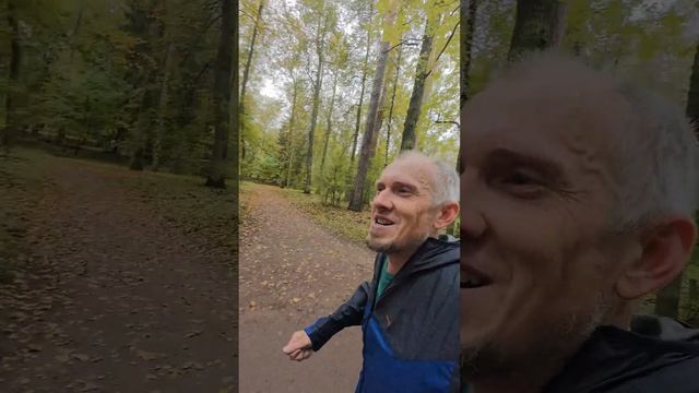 Музыкальная поддержка с гелика в Павловске