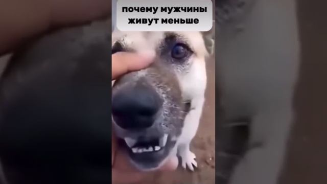 Почему мужчины живут меньше?!