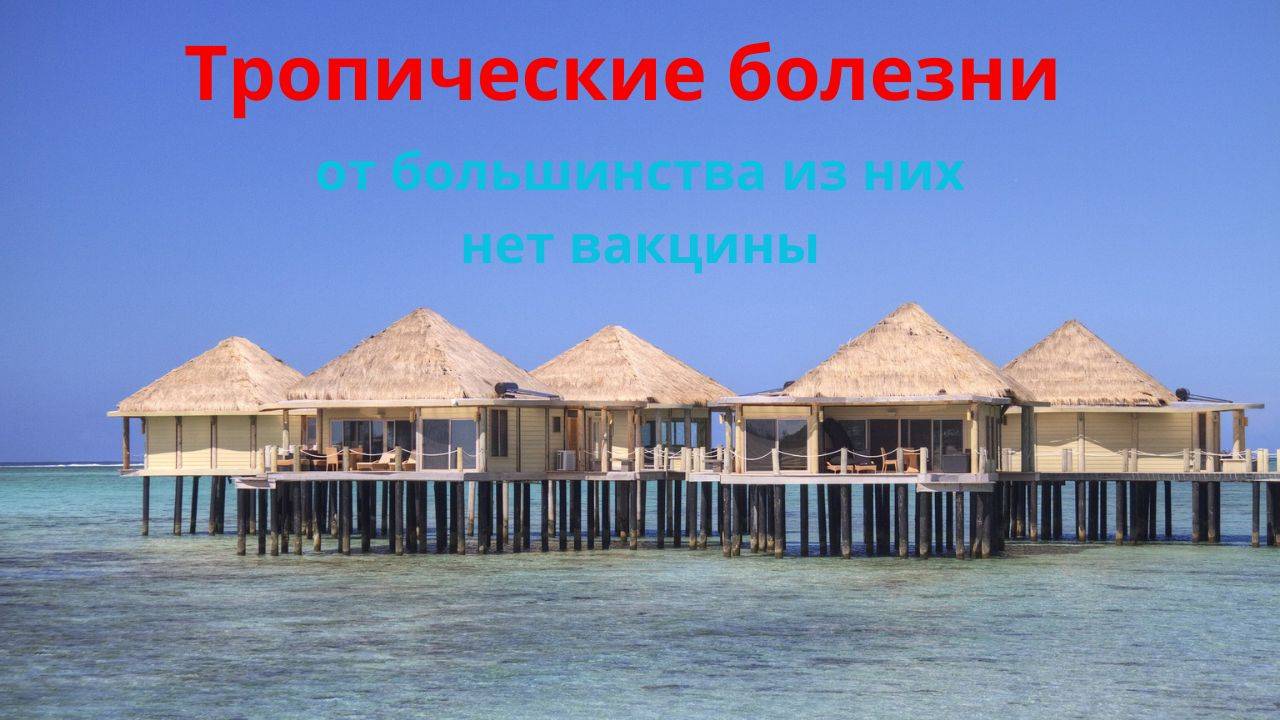 Тропические болезни – от большинства которых, нет вакцины.