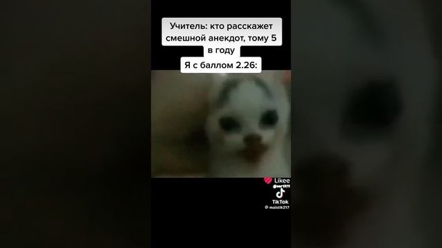 3бебрик 228