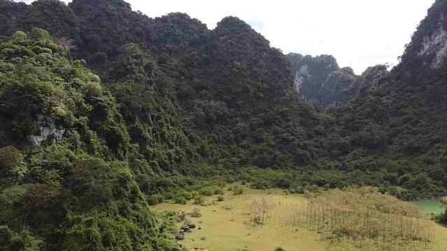 18653460-uhd_2560_1440_30fps
