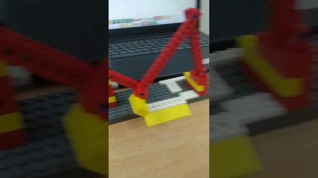 25 ноября 2023 г.