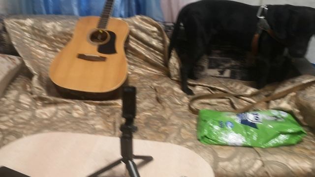 Мне Пока 55 Лет  и Не Хочу  Срать Богер @ моя  Жизнь Кино @ Музей Псов
