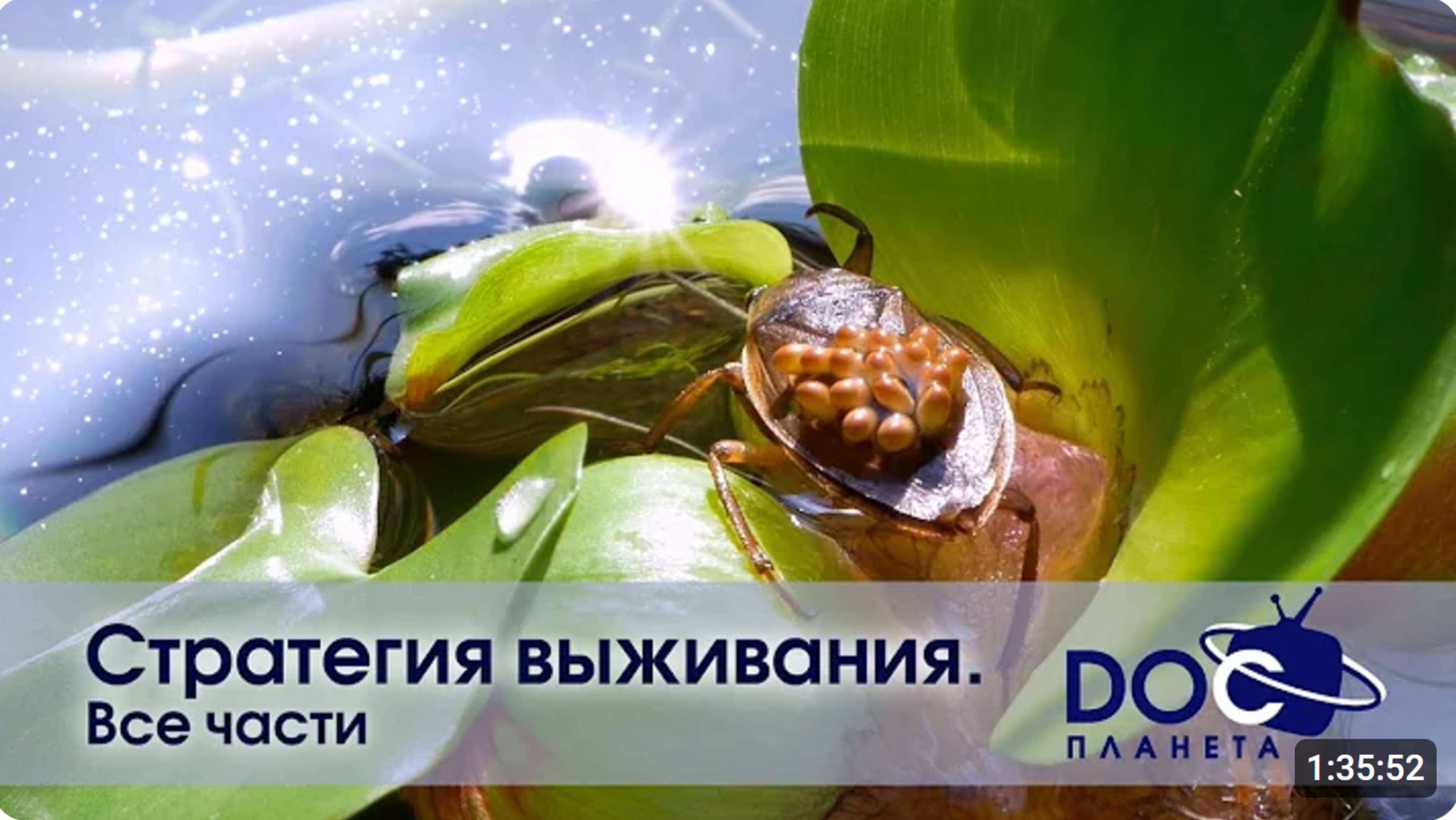 Стратегия выживания - Все части - Документальный фильм