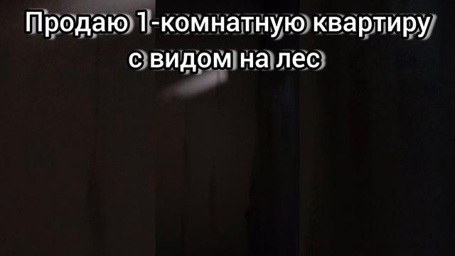 Однушка с видом на лес