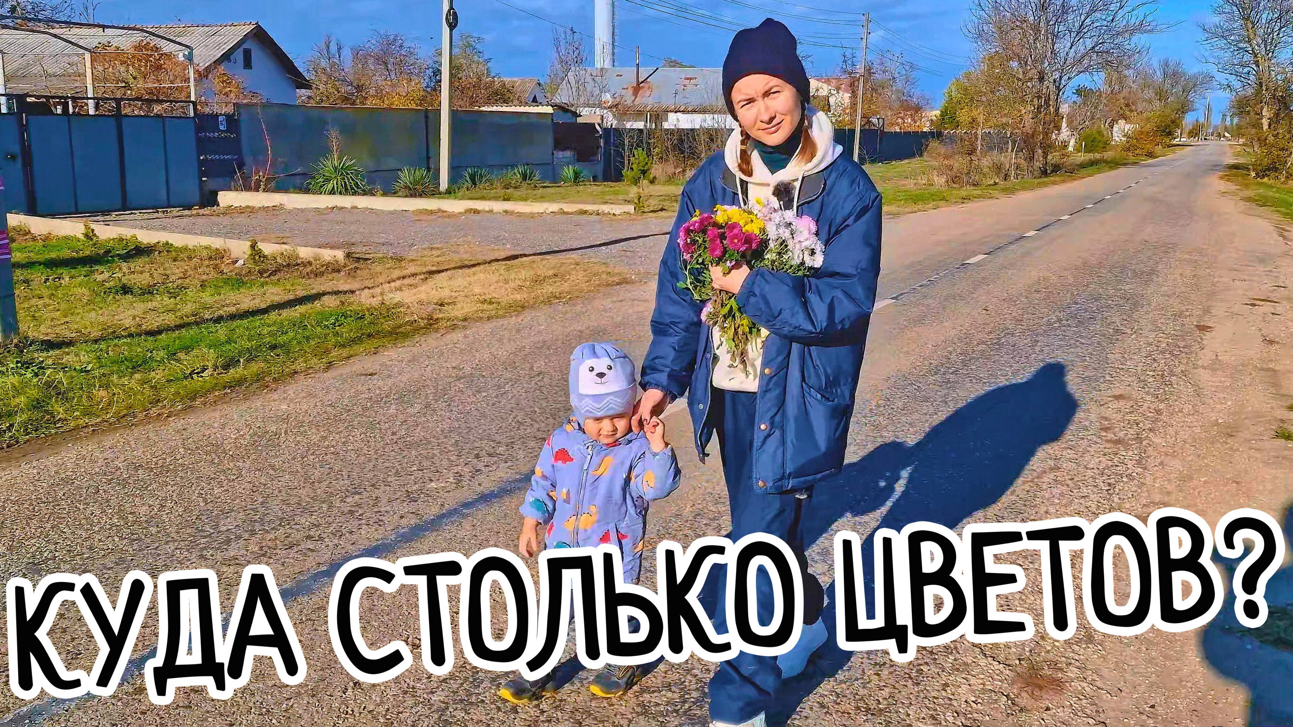 Первая ЧП в теплице. Туман в теплице. Наташа стой - Куда столько хризантем? Куда ставить цветы???