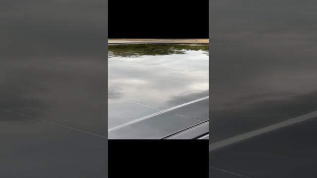 Автомобили