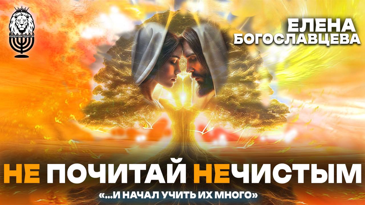 НЕ ПОЧИТАЙ НЕЧИСТЫМ | Елена Богославцева