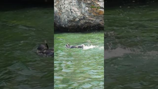 На Байкале лучше всего купаться в гидрокостюме.