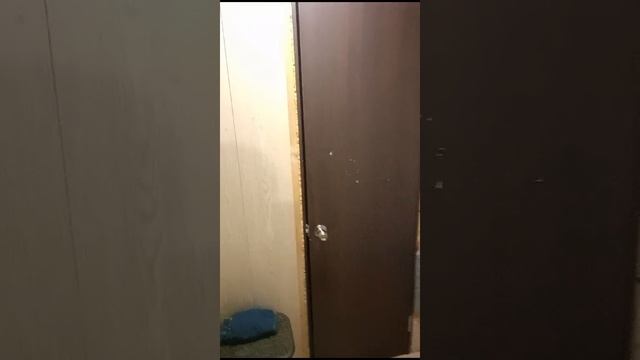 VID-20241130-WA0023