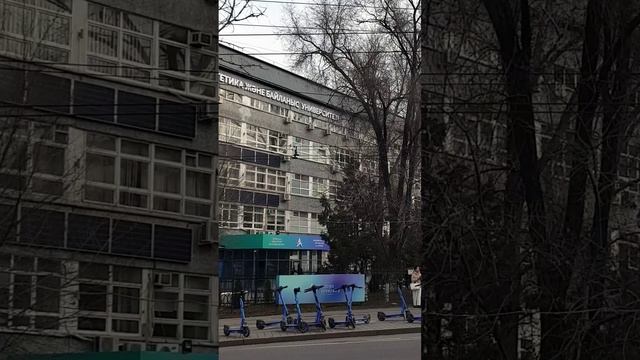 Утро Алматы. 30.11.2024.