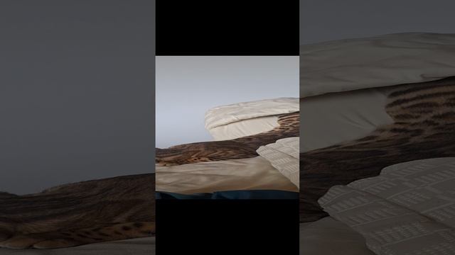 1000069459.mp4