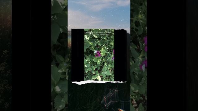 꿈을 향해 (igtv instagram)