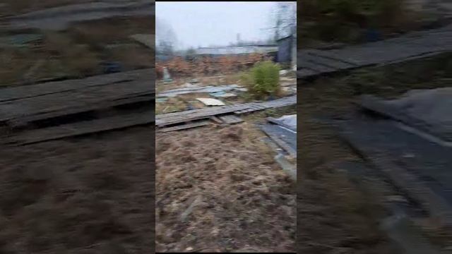 1000073335.mp4