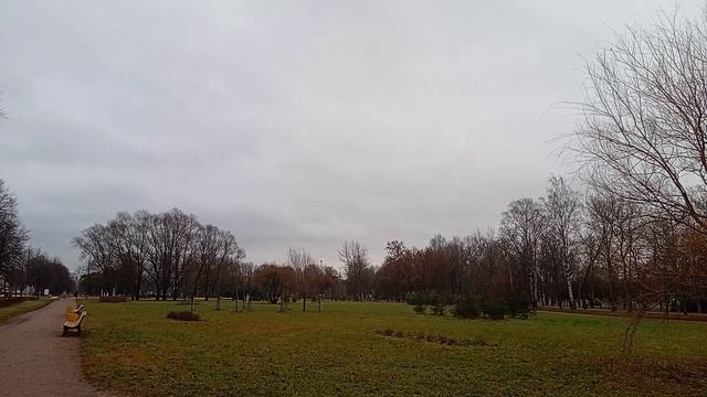 30.11.2024 . Погода Петербург . 14:27 . +5°
