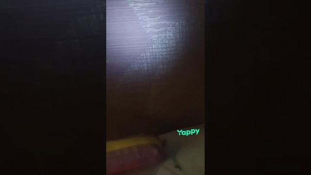 Прикольный мультик в темноте