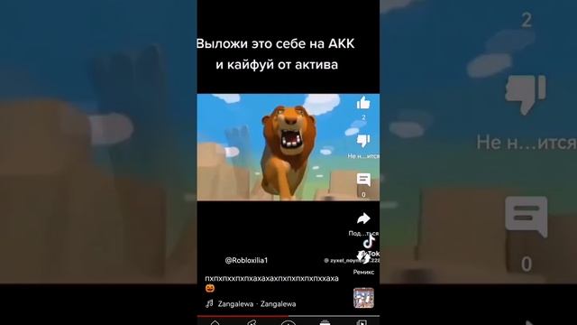 #хочуврек автор: @Robloxilia1
