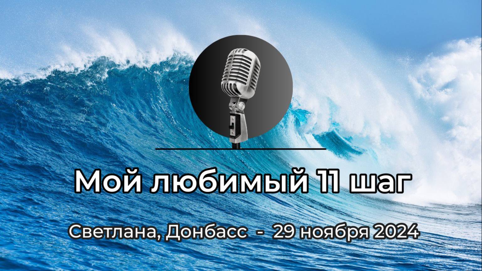 Спикерская АНЗ "Мой любимый 11 Шаг" Светлана, Донбасс, 29 ноября 2024 года