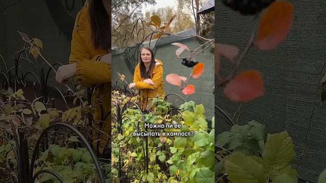 ИЗВЕСТЬ в саду? ВОТ ЭТО ЛУЧШЕ ВСЕГО