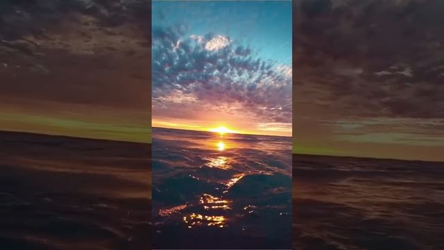 VID_20241130_050725_259.mp4