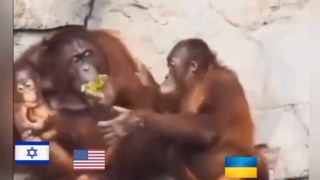 30-11-2024 привет