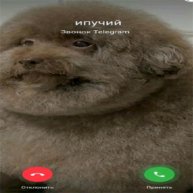 не последняя трансляция..