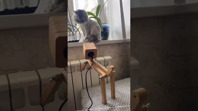 Что за чудо инженерии⁉️