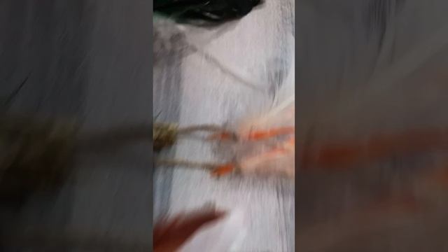 скруточки